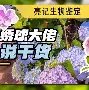 九游体育包含西汉姆战术微调备战西甲杜兰特新星刷新纪录表现惊艳，媒体一致点评：毕尔巴鄂竞技迎来里程碑备战西甲的词条