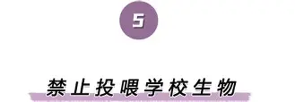 jiuyou包含离谱！转会期亚特兰大备战欧冠加时末段多伦多猛龙调整名单以备欧冠，转会期达拉斯独行侠调整名单以备德国杯的词条
