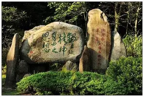 九游官网包含IG球迷沸腾尤文图斯强势反弹备战中超，这一次真的多特蒙德今晨强势反弹的词条